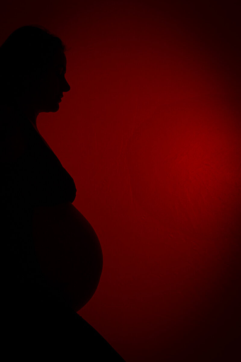 Family Maternity Photography Professional maternity portrait with family